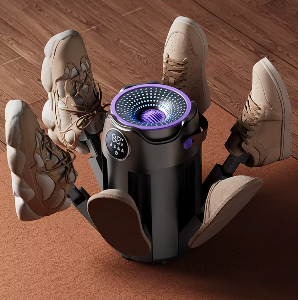 Shoe Dryer Image