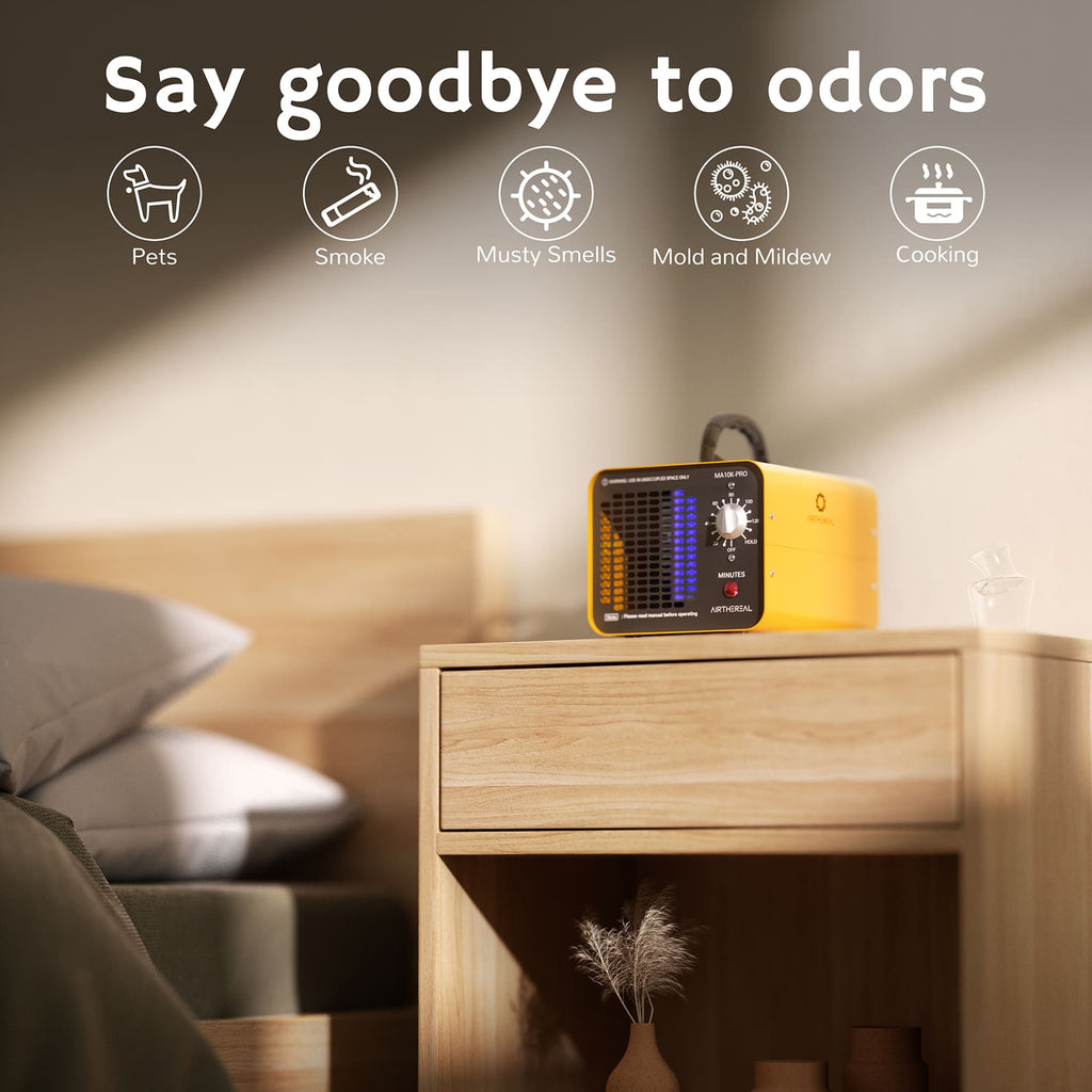 High Capacity Ozone Generator | 10,000 mg/h Output for Effective Odor Removal in Homes and Offices 2